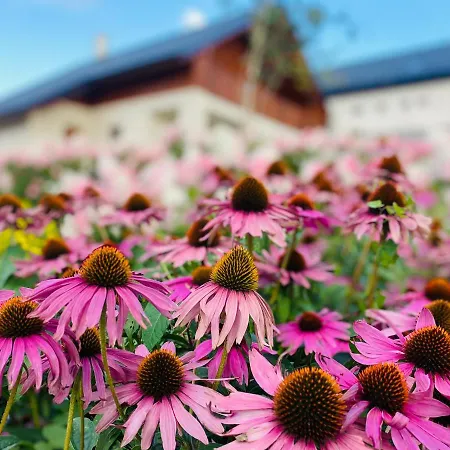 S Luxusnym Privatnym Wellness * Krusetnica